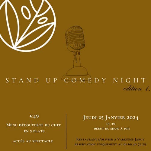Stand up Comedy Night / édition 1 – Jeudi 25 janvier 2024